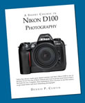 Nikon D100