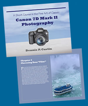 Canon EOS 7D Photography