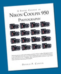 Nikon Coolpix 950