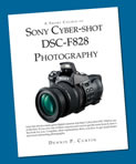 Sony Cybershot DSC-F828 Photography